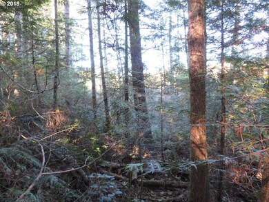 0 Wayne Rd W unit 3 18654977, Seabeck, WA 98380 - photo 7