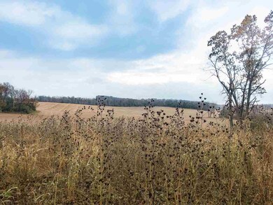 L1 Mineral Point Rd, Cross Plains, WI 53528 - photo 4