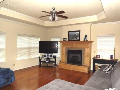 Living Room. Eye Catching Trey Ceiling