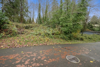 0 Vl 10602 I St, Nehalem, OR 97131 - photo 2