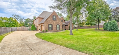 Plenty of Shade Trees