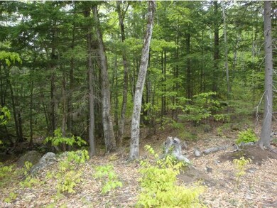 1 Cross Country Ln, Plymouth, NH 03264 - photo 3