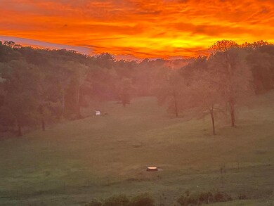 000 Prescott Rd, Kissee Mills, MO 65680 - photo 4