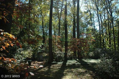 1013 Orchard Way, Silver Spring, MD 20904 - photo 3