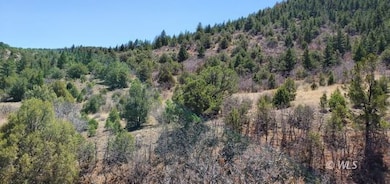 TBD Palmer Rd, Cotopaxi, CO 81223 - photo 4