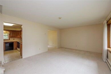 Living room with hardwood floors under carpet