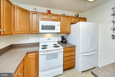 6441 Lawyers Rd, Spotsylvania, VA 22551 - photo 3