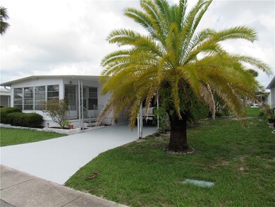 Beautiful Palm to the right of the home.
