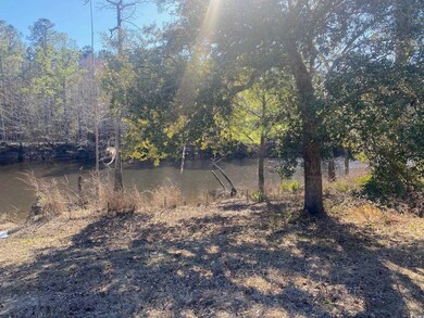 124 Lure Ct, Conway, SC 29526 - photo 5