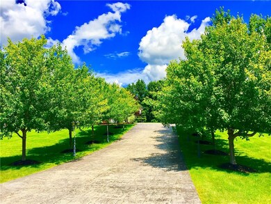 tree-lined driveway
