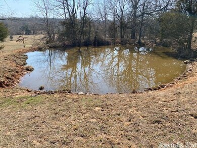 TBD Byron Rd, Salem, AR 72576 - photo 6