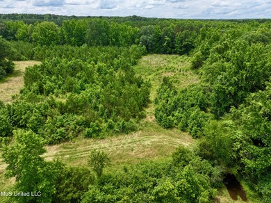 dji_fly_20250528_132430_0001_17485189655