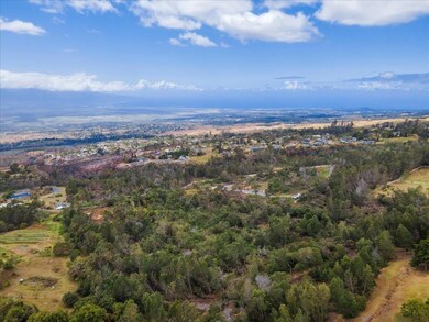 0 Haleakala Hwy unit 399797, Kula, HI 96790 - photo 6