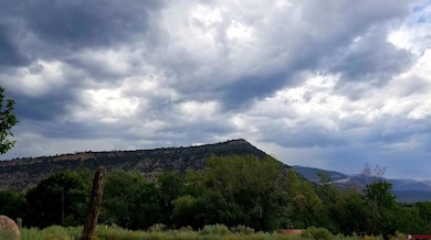 574 County Road 250, Durango, CO 81301 - photo 5