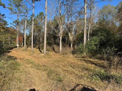 00 Mississippi 9, Bruce, MS 38915 - photo 7