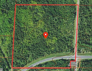 9195 Samuelson Rd, Angora, MN 55703 - photo 3