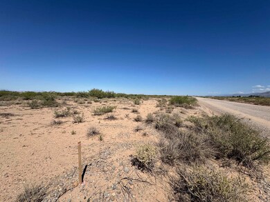 Lot 11 Block 2 Southland Rd unit 11, Alamogordo, NM 88310 - photo 4