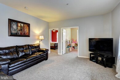 9617 Devedente Dr unit 205, Owings Mills, MD 21117 - photo 4