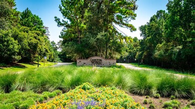 75 Mediterra Way, the Woodlands, TX 77389 - photo 3