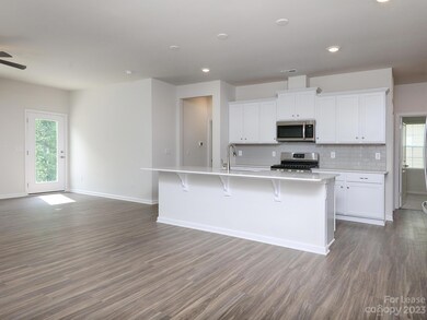 121 Olive Tea Ln, Statesville, NC 28625 - photo 7