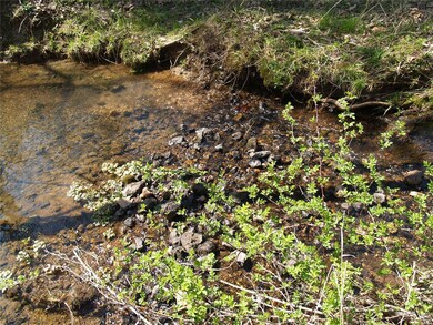 Healthy creek on Back side of property.