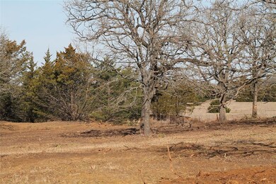 TBD County Rd 145, Whitesboro, TX 76273 - photo 4