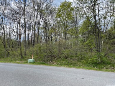 45 Randy Rd, Coxsackie, NY 12015 - photo 5