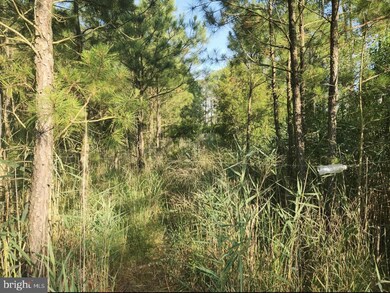 0 Wesley Rd unit MDDO2006240, Wingate, MD 21675 - photo 3