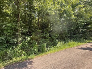 View of asphalt road with a view of trees
