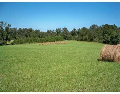 Land.