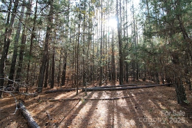 Lot 2 5+/-AC Bookout Rd, Rock Hill, SC 29730 - photo 3