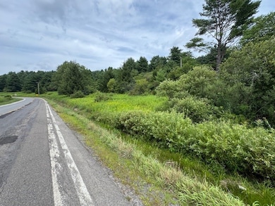 4380 New York 80, Columbus, NY 13460 - photo 3