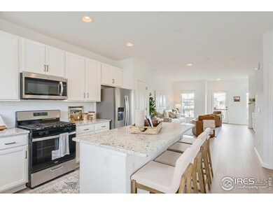 1003 Schlagel St unit 4, Fort Collins, CO 80524 - photo 2