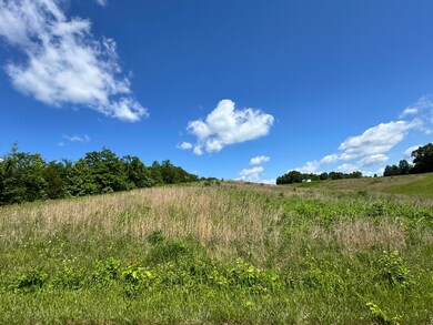 IMG_7172