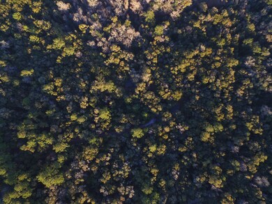 65 Simmie Dr, Crawfordville, FL 32327 - photo 5