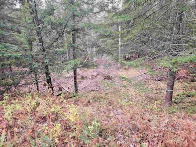 35 Langway Rd, Lyman, NH 03585 - photo 2