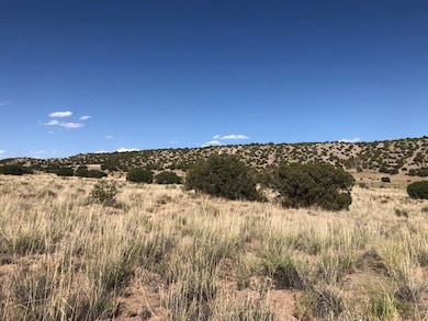 Lots 4&5 Santa California Subd, Medanales, NM 87510 - photo 4