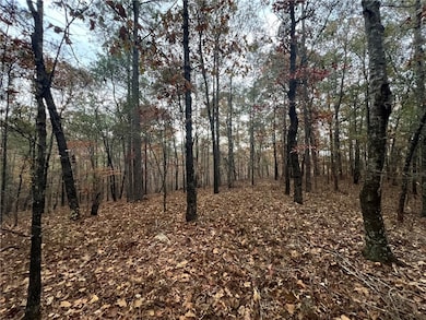 0 U S Highway 280, Jackson's Gap, AL 36861 - photo 5