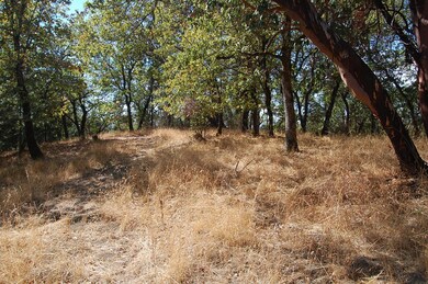 0 NE Greenfield Tl300 unit 102982269, Grants Pass, OR 97526 - photo 5