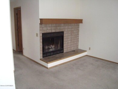 fireplace DSC09195