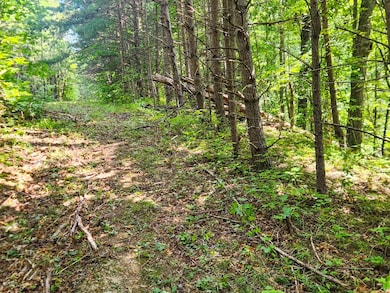 0 Alberta St, Oneida, TN 37841 - photo 5