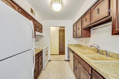 1525 E Thacker St unit 2E, Des Plaines, IL 60016 - photo 6