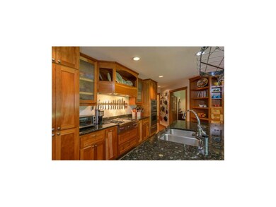 Wolf gas stove with Thermadore hood