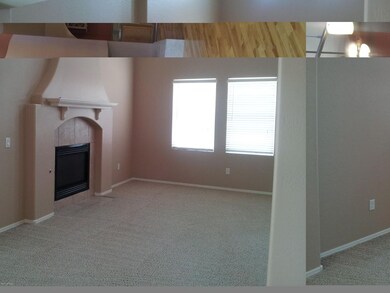 Living Room and Fireplace