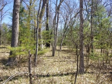 VL M-37 (Woodbridge), Bitely, MI 49309 - photo 5