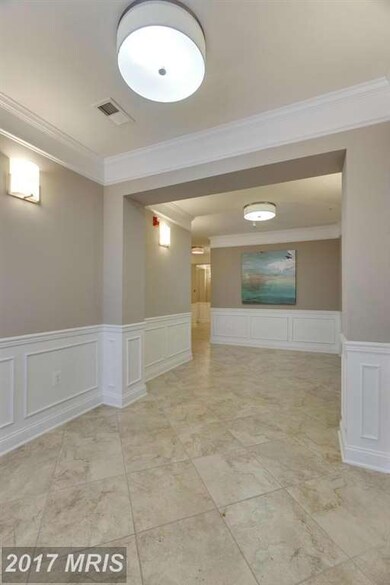 24660 Woolly Mammoth Terrace unit 207, Aldie, VA 20105 - photo 4