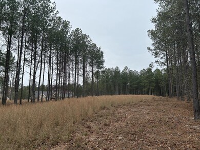 1080 Crockett Loop, Jasper, TN 37374 - photo 7