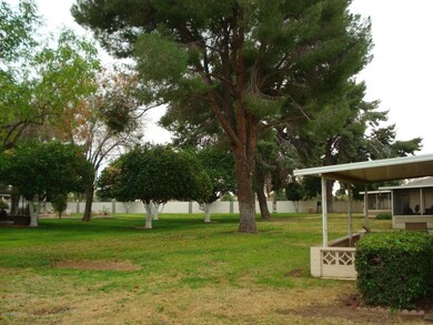 Greenbelt area at back