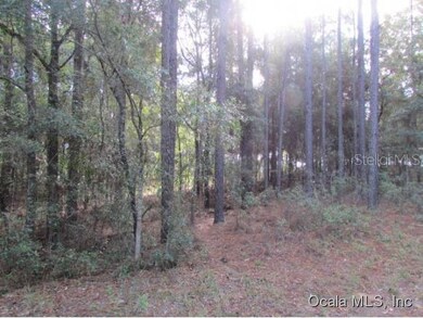 00 SW 200th Cir, Dunnellon, FL 34431 - photo 4