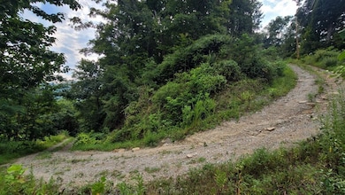 Conley Hill overlooking New River